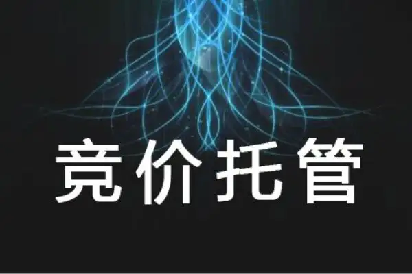 河南競(jìng)價(jià)托管代運(yùn)營 河南競(jìng)價(jià)托管代運(yùn)營